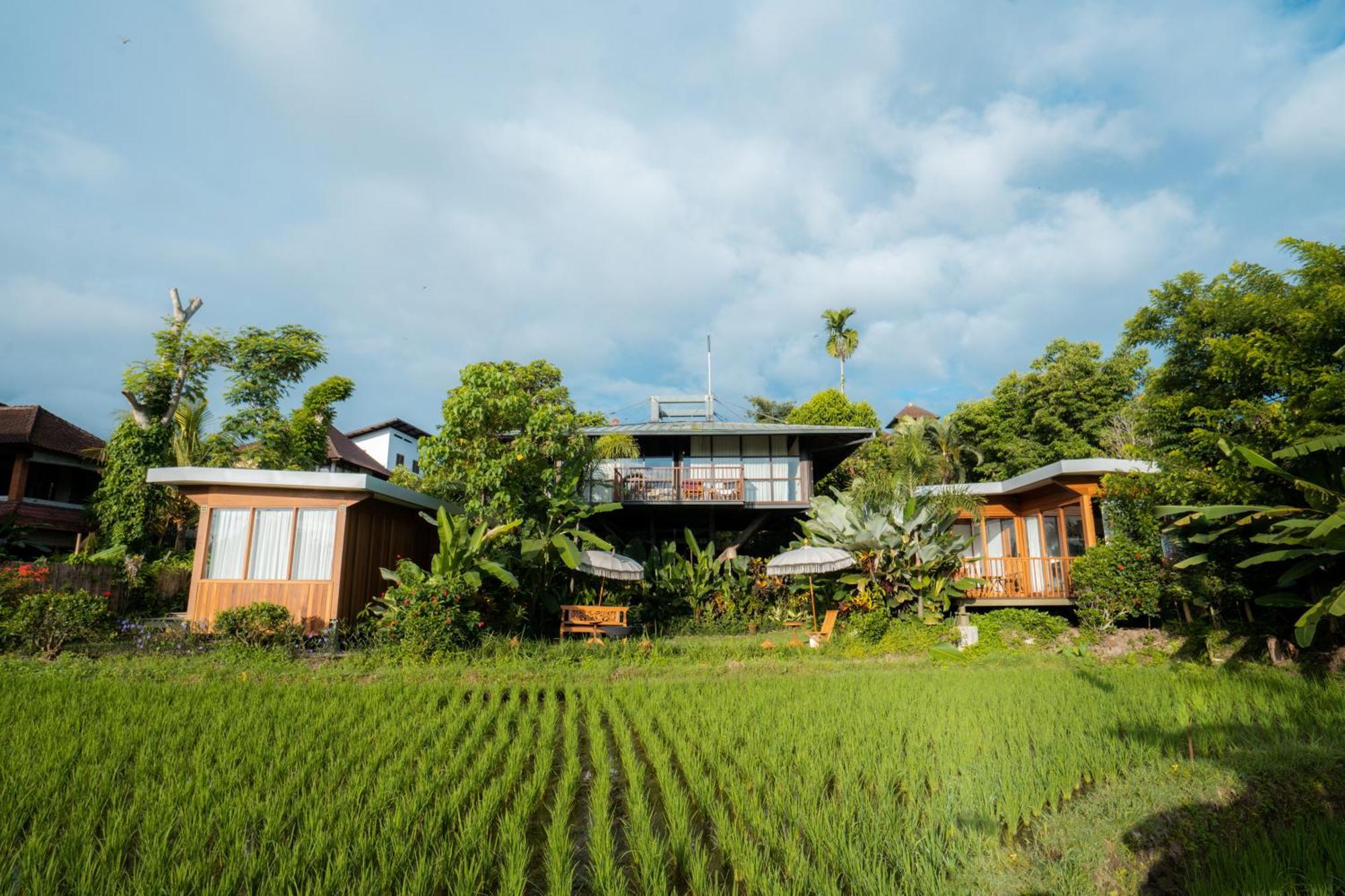 Gruen Ubud Exterior photo